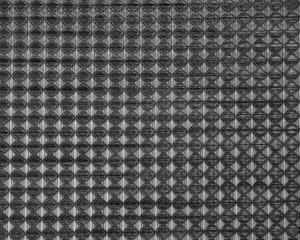 FP-101 Braque Graphite