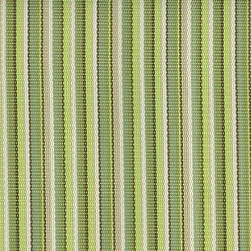 FS-008-STRIPE-KIWI